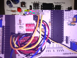 381607592.425314.jpg