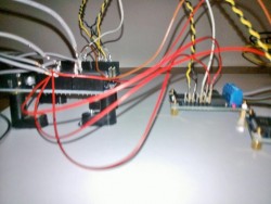 WP_000371.jpg