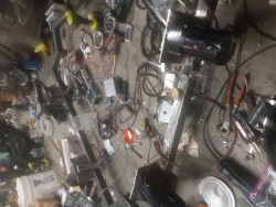 20220806_062242.jpg