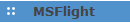 MSFlight